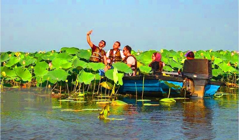 Anzali Lagoon, Kayaking, Gilan Travel Attraction