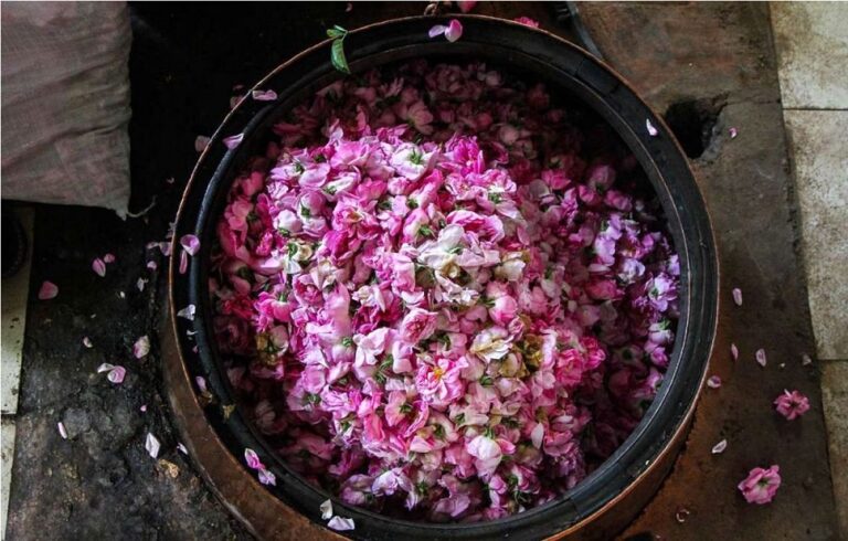 Rose Water, Kashan Travel Attraction