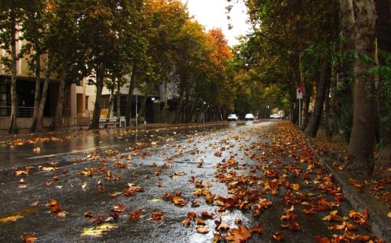Walking Street (Vali-Asr), Tehran travel attraction