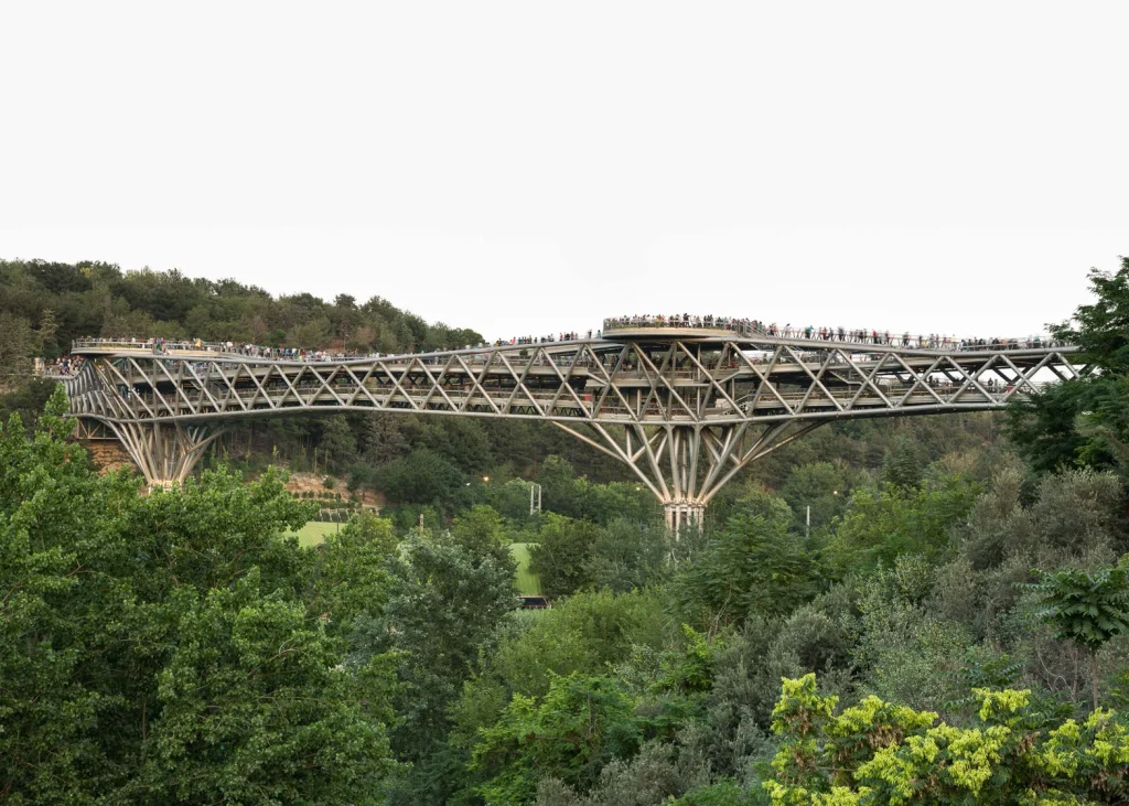 Nature Bridge 